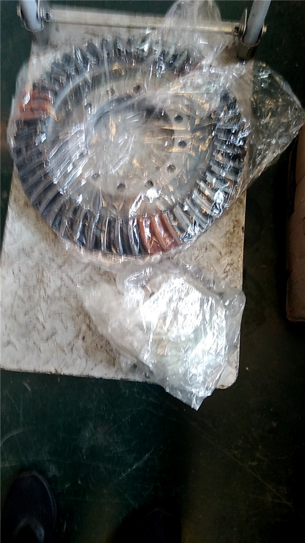 伞盆齿 伞盆齿